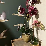 The Herbalist (adults Only) Hotel