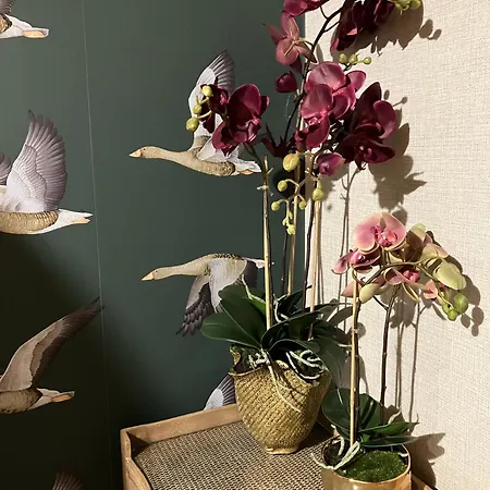 The Herbalist (adults Only) Hotell
