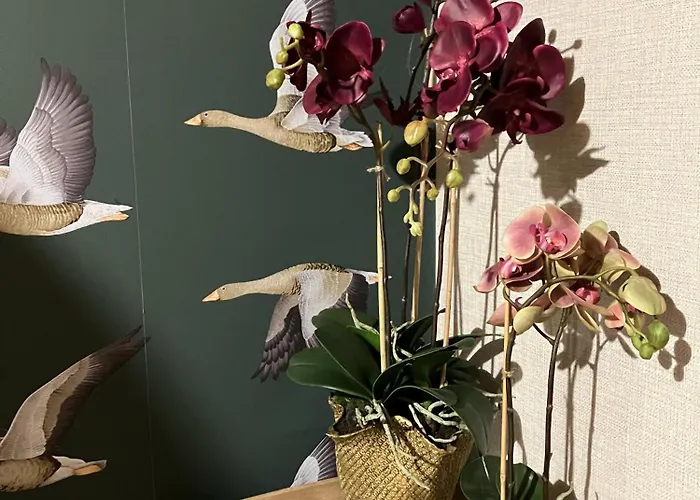 The Herbalist (adults Only) Hotel