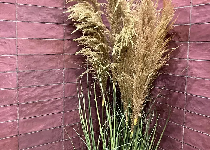 The Herbalist (adults Only) Hotel *