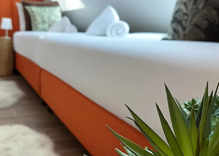 The Herbalist (adults Only)